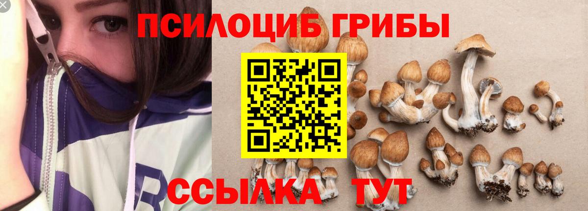 Галлюциногенные грибы прущие грибы  Вход с VPN  Галлюциногенные грибы Psilocybe  Кропоткин 