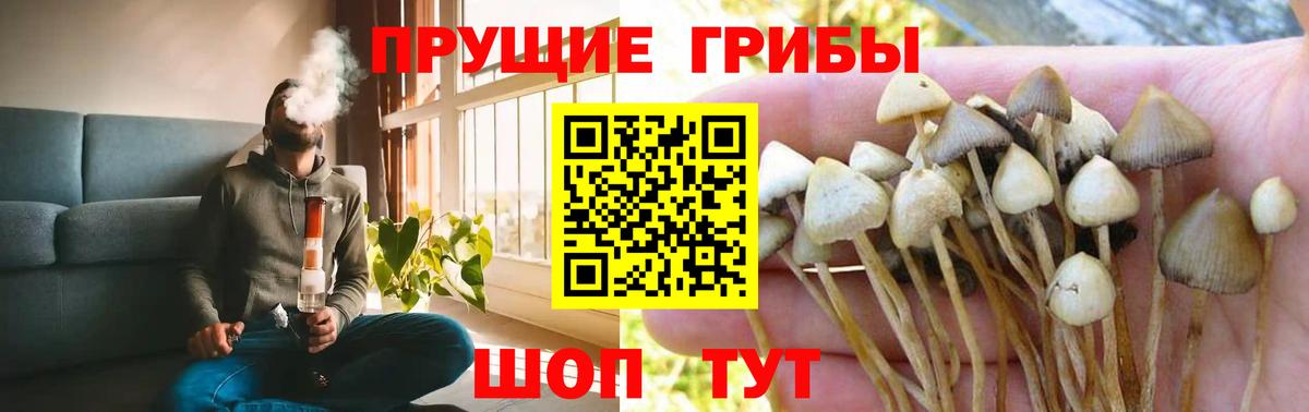 Меф МЯУ МЯУ кристаллы  ЭКСТАЗИ  Кокаин  Кропоткин  Вход с VPN  Бошки Шишки  ГАШИШ 